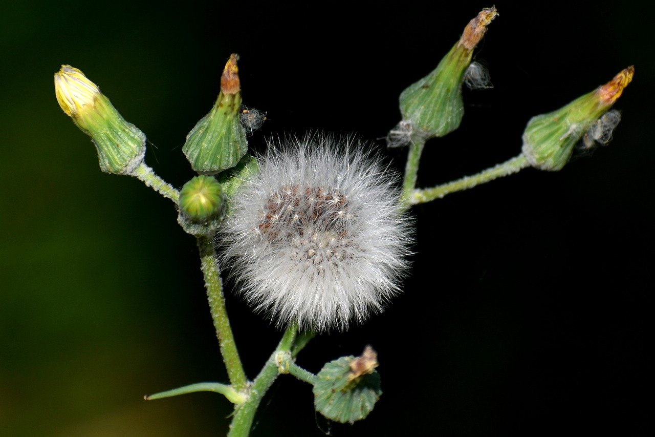 Horse Racing Tips from Those Who Have Been There and Done It