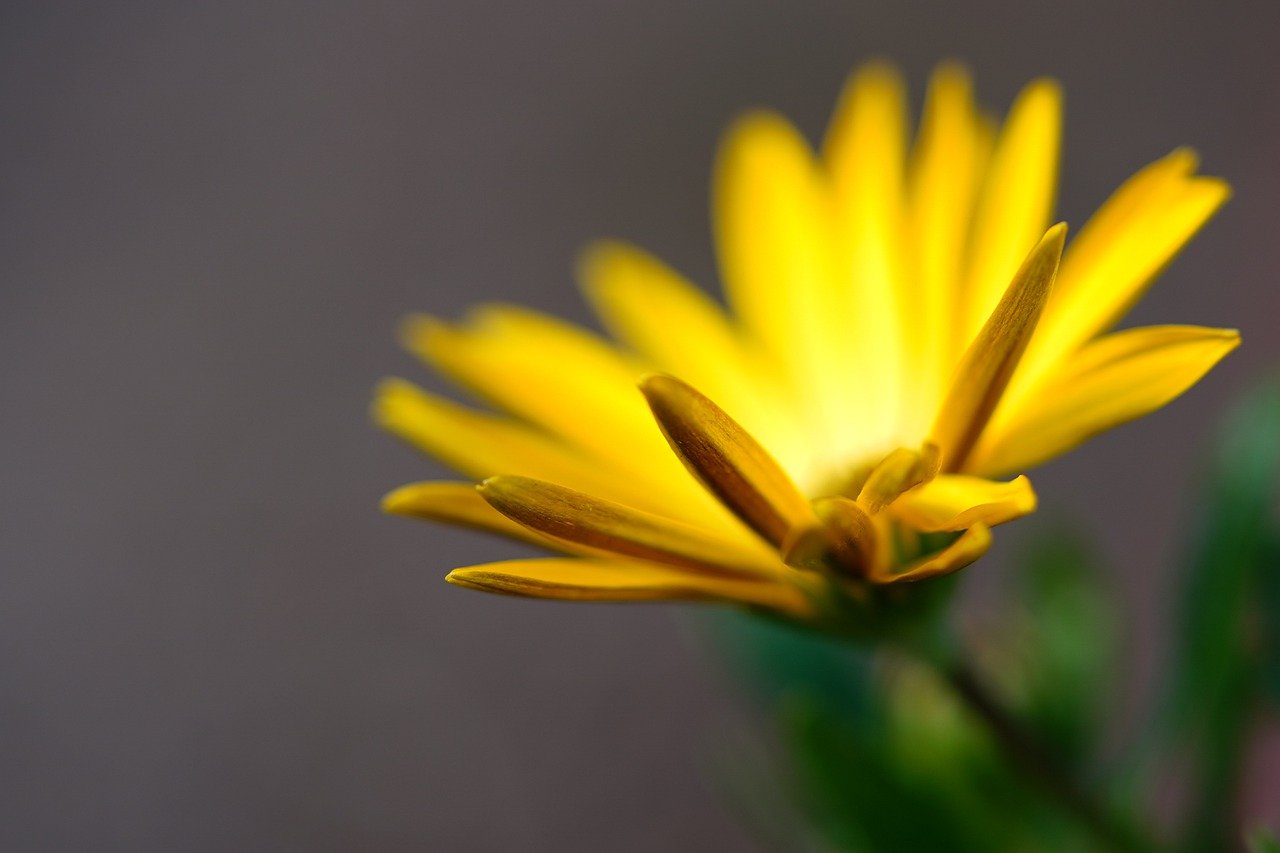 Are You Ready for Some Horse Racing Action?