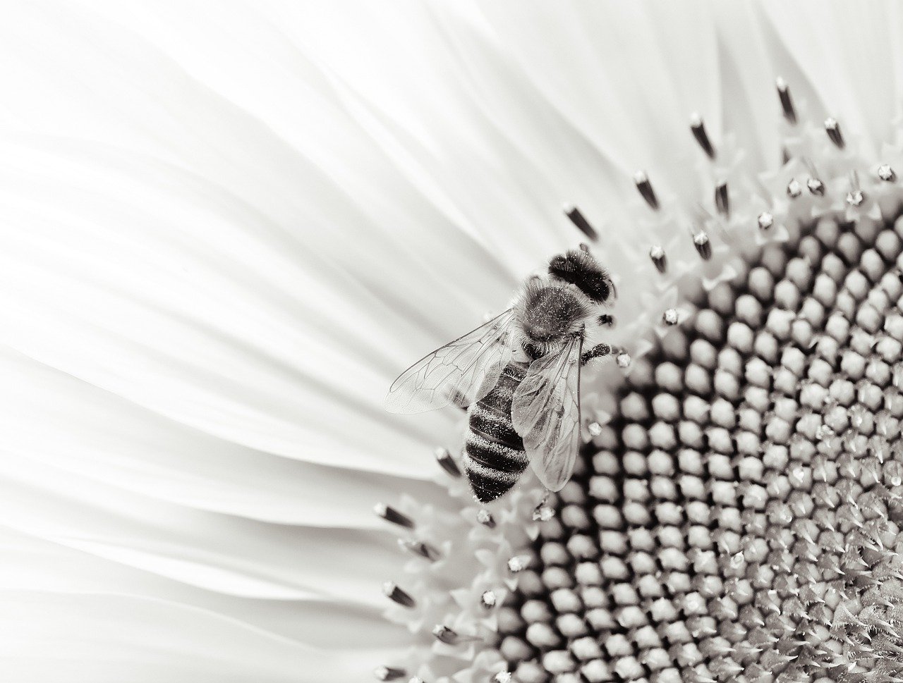 Fashion Shows: Not Just for the Rich and Famous Anymore