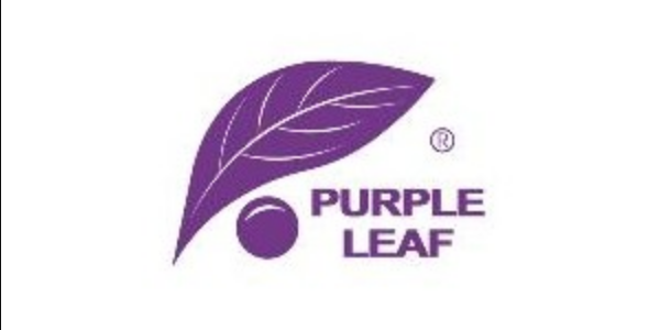 PurpleLeafShop: Your Oasis for Sustainable Living!